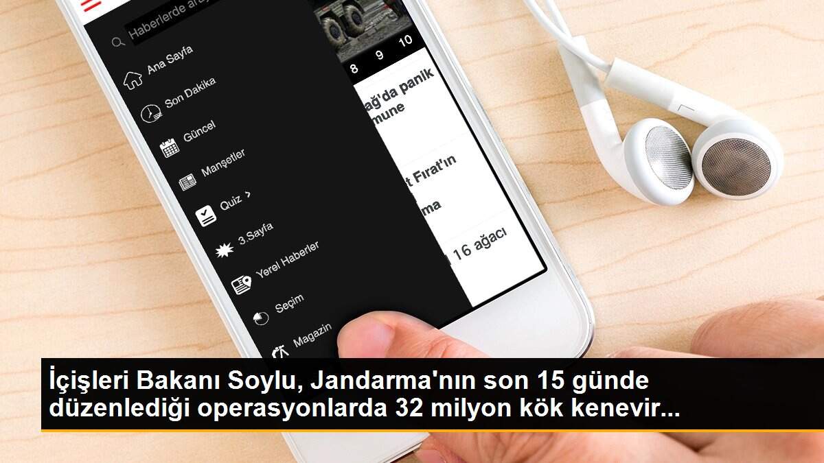 İçişleri Bakanı Soylu, Jandarma\'nın son 15 günde düzenlediği operasyonlarda 32 milyon kök kenevir...