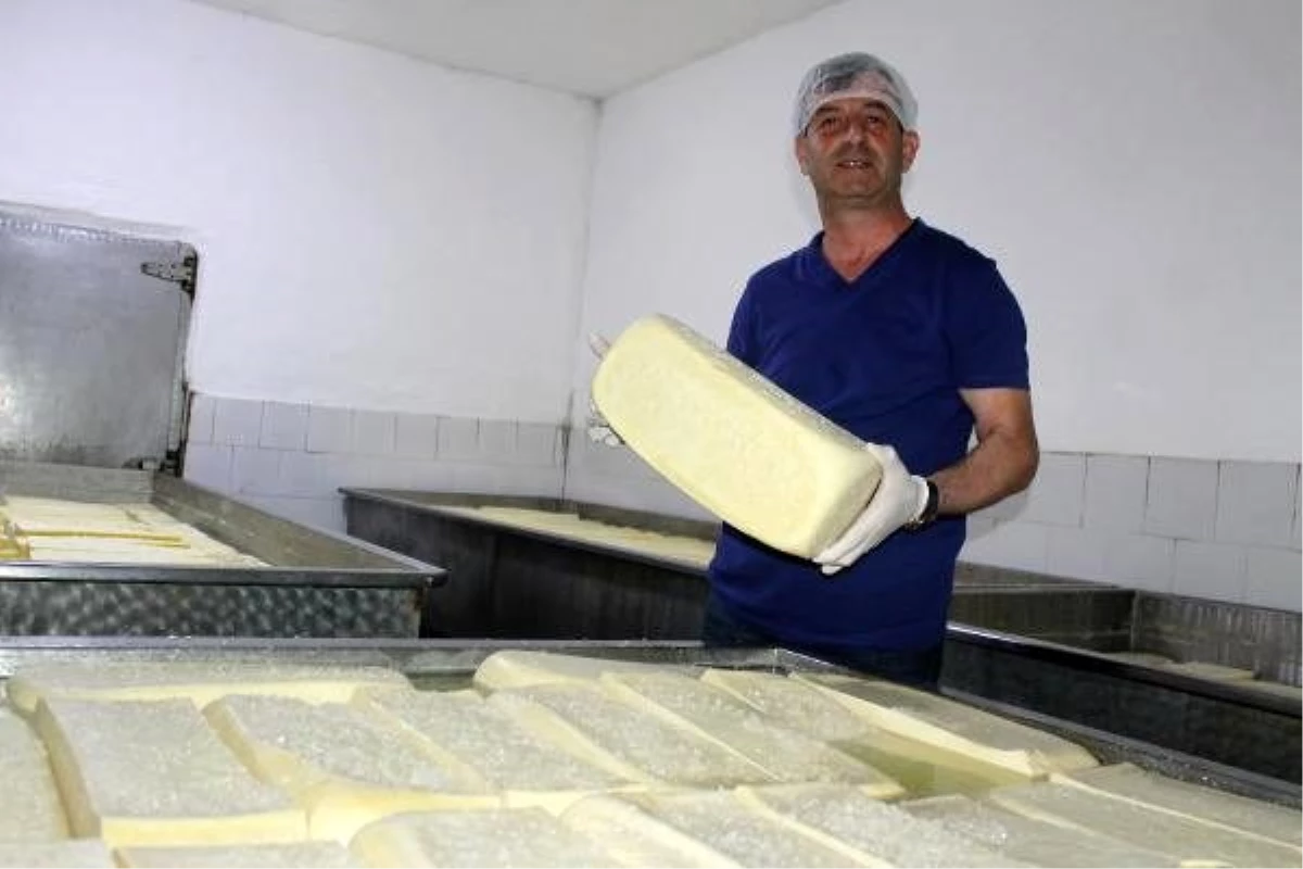 Manyas kelle peynirinin tescilinde son aşamaya gelindi