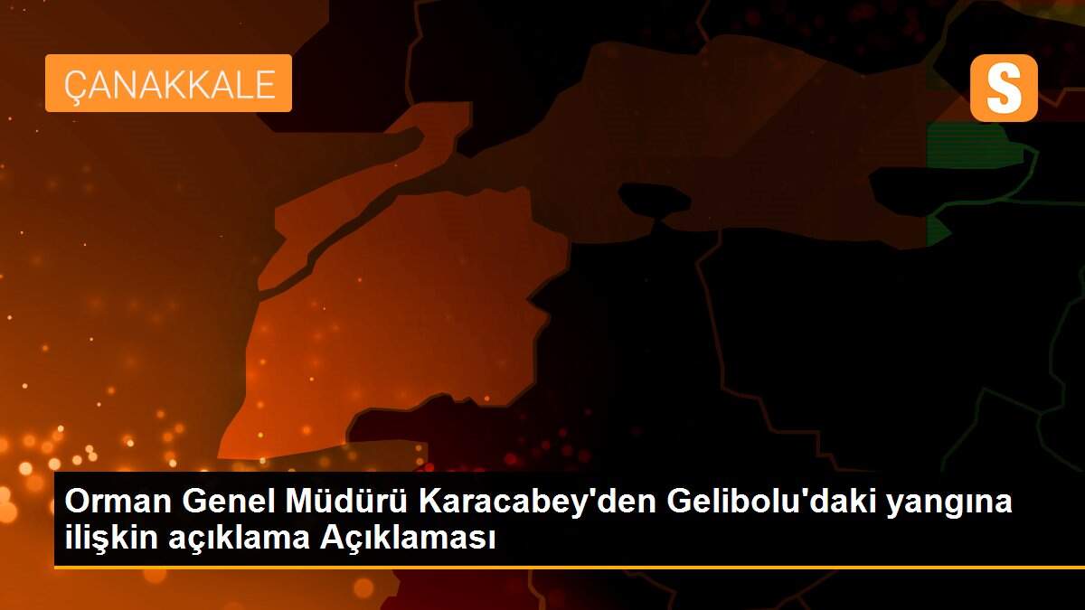 Orman Genel Müdürü Karacabey\'den Gelibolu\'daki yangına ilişkin açıklama Açıklaması