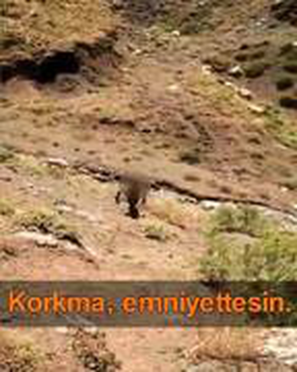 PKK\'dan kaçan terörist, böyle teslim oldu