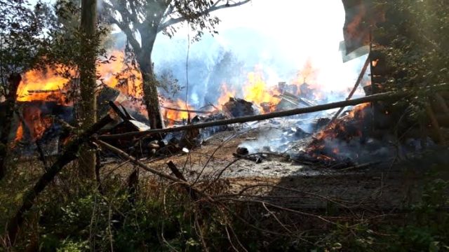 Son Dakika: Artvin Sahlepçiler mahallesinde çıkan yangında köy evleri yanıyor