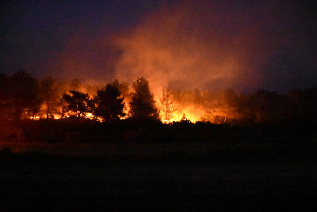 Son dakika: Gelibolu'daki orman yangınında şu ana kadar 450 hektar alan yandı