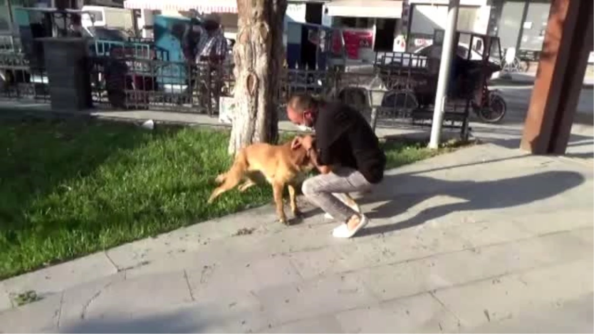 Son Dakika: Su verdiği köpekle arasında oluşan dostluk bağı görenleri şaşırtıyor