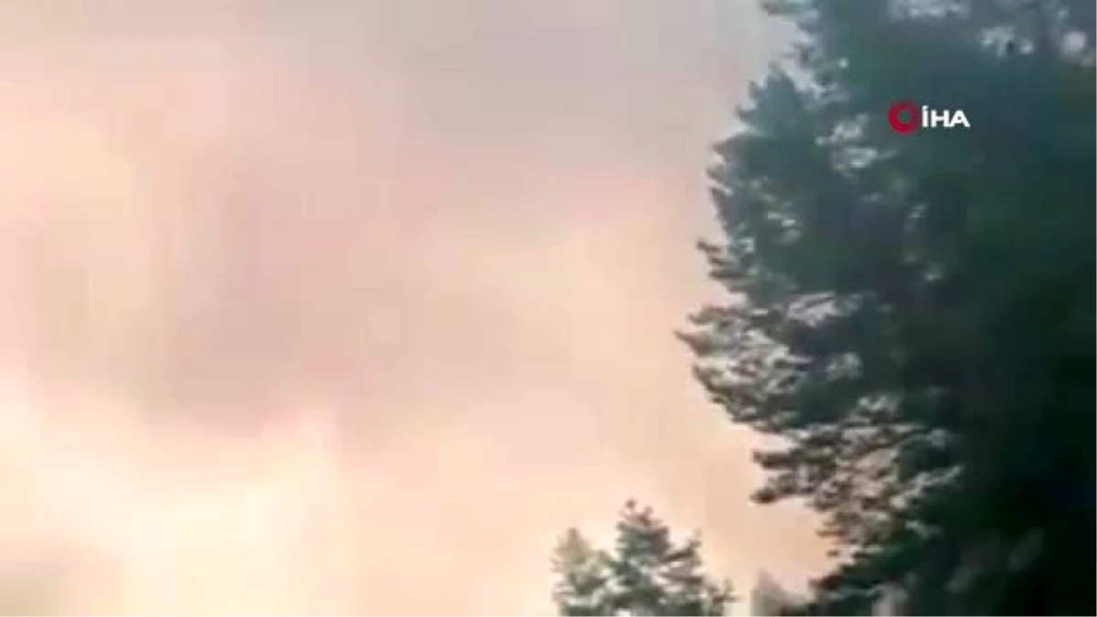 Ukrayna\'da korkutan orman yangını: 4 ölü