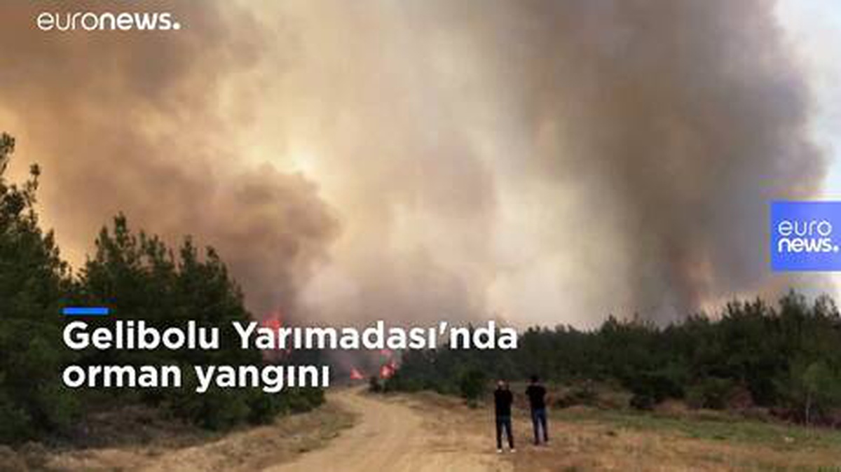 Video: Çanakkale Gelibolu Yarımadası\'nda orman yangını