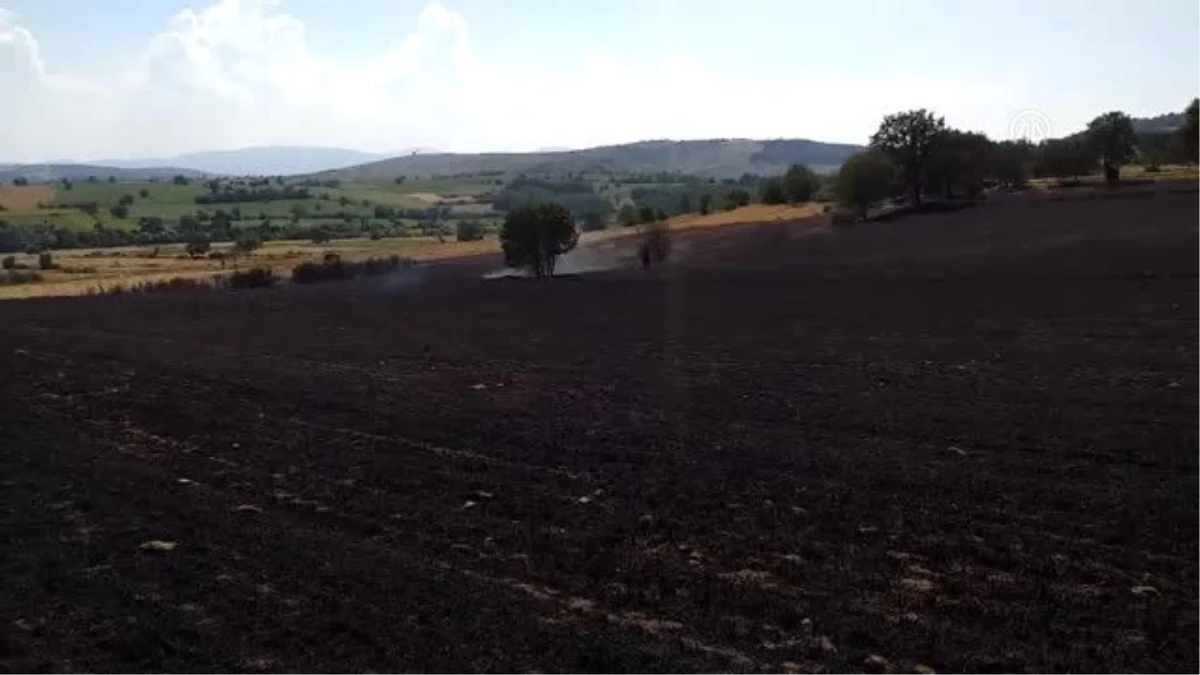 Yangında bin dekar ekili arazi zarar gördü