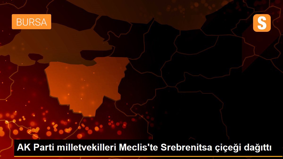 AK Parti milletvekilleri Meclis\'te Srebrenitsa çiçeği dağıttı