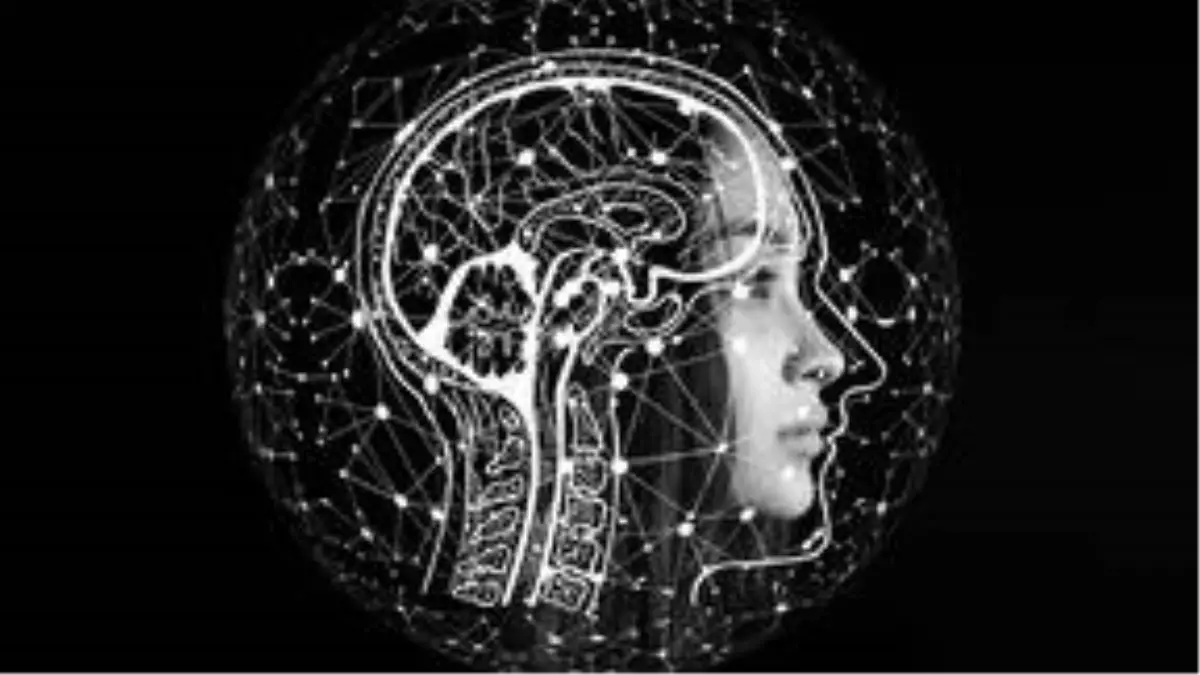 Beyin Yiyen Amip Türkiye\'de de Var! Profesör Açıkladı