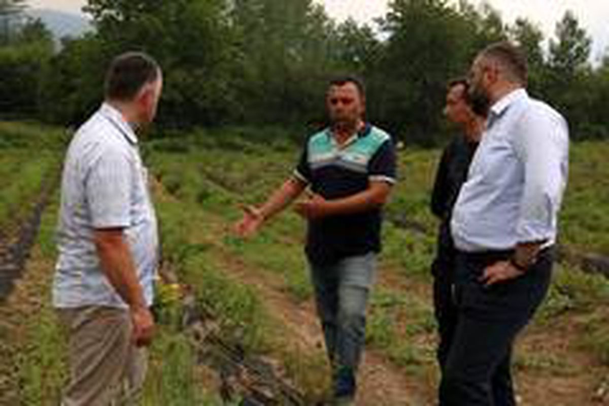 Büyükşehir çiftçinin yanında