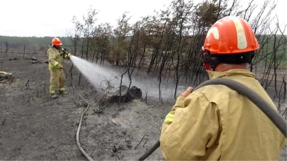 Çanakkale\'deki orman yangınını soğutma çalışmaları sürüyor
