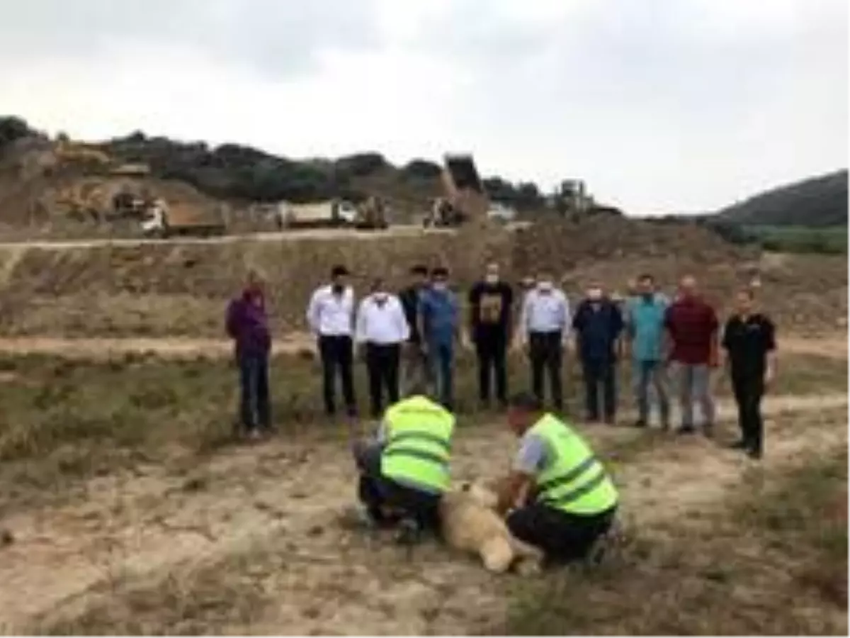 Ceyhan OSB\'de ilk fabrika heyecanı