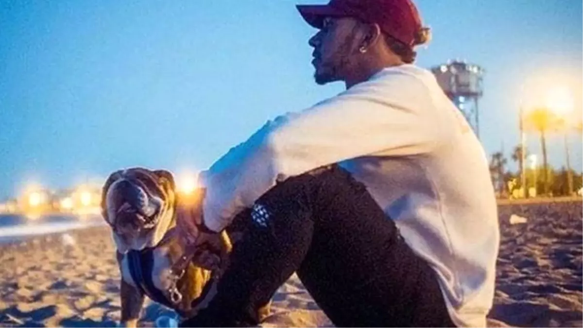 Formula-1 şampiyonu Lewis Hamilton: Köpeğim Roscoe artık vegan