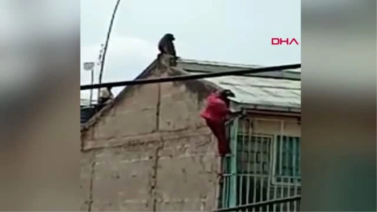 Kenya\'da babunu kovalamak için 4 katlı binaya tırmanan kişi yere çakıldı