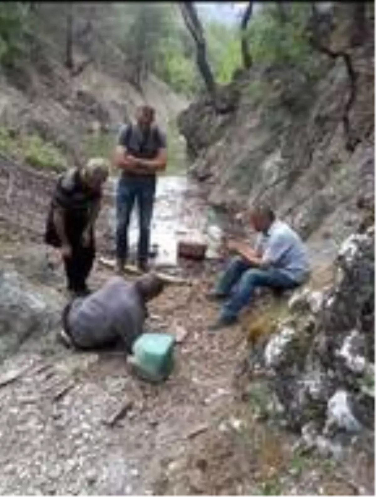 Mantar toplarken kayboldu, 10 saat sonra bulundu