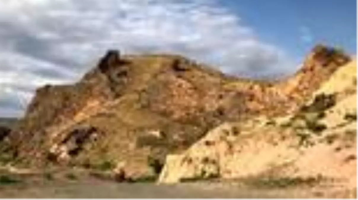 Palmiye fosili bulunan Iğdır\'da şimdi de midye fosiline rastlandı