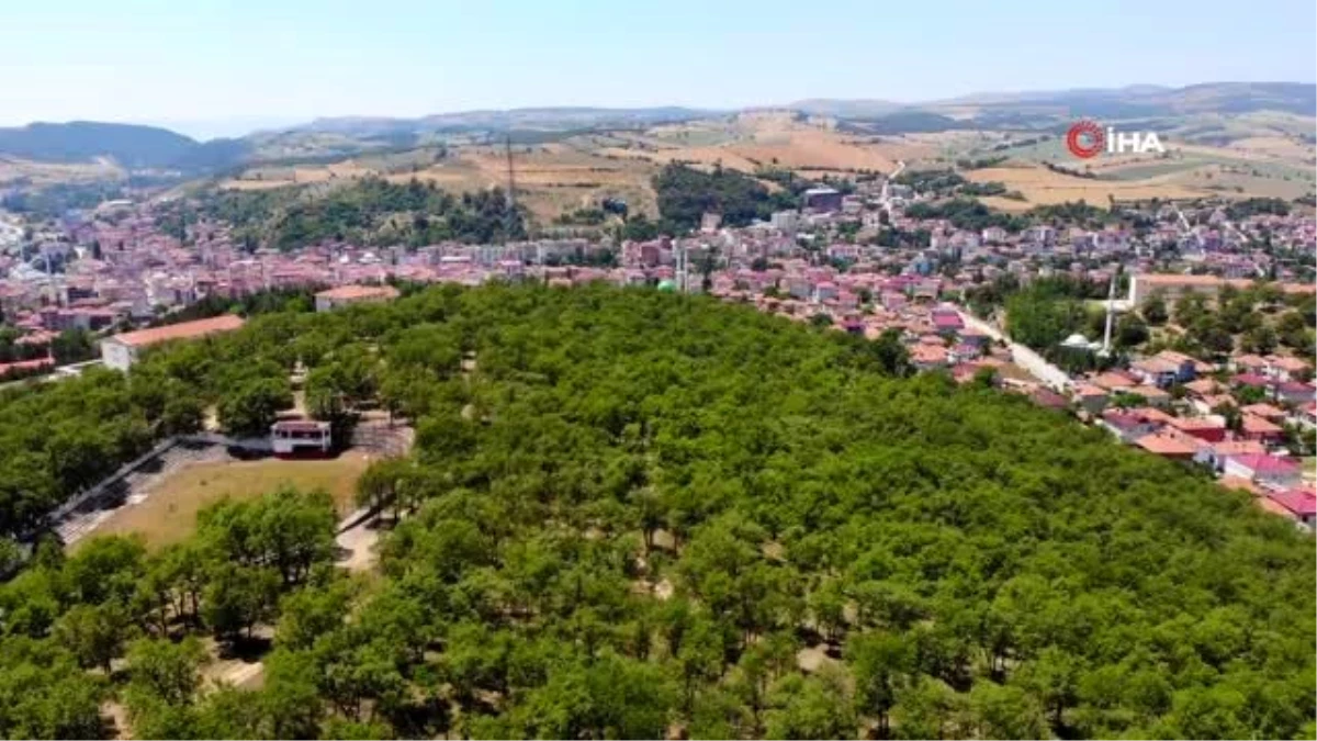 Samsun\'un göz bebeği \'Kılavuz Ormanı\' yapılan projeler ile tekrar canlanacak