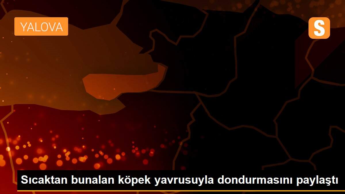 Sıcaktan bunalan köpek yavrusuyla dondurmasını paylaştı