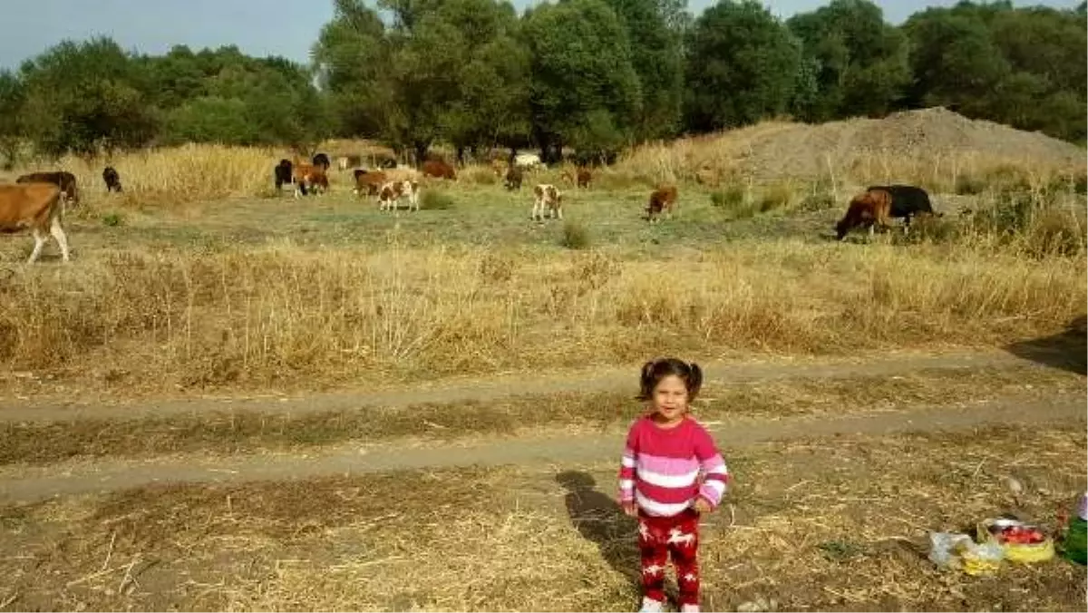 Yangın çıkan evde dumandan etkilenen çocuk yaşamını yitirdi