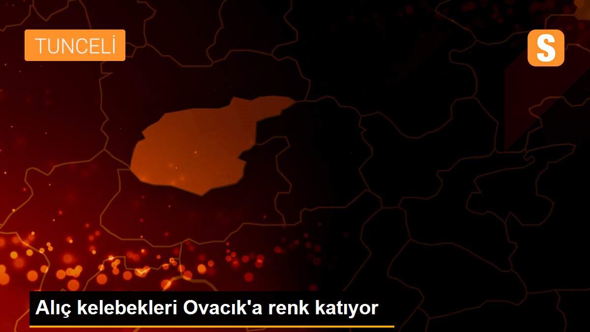 Son dakika haber... Alıç kelebekleri Ovacık\'a renk katıyor