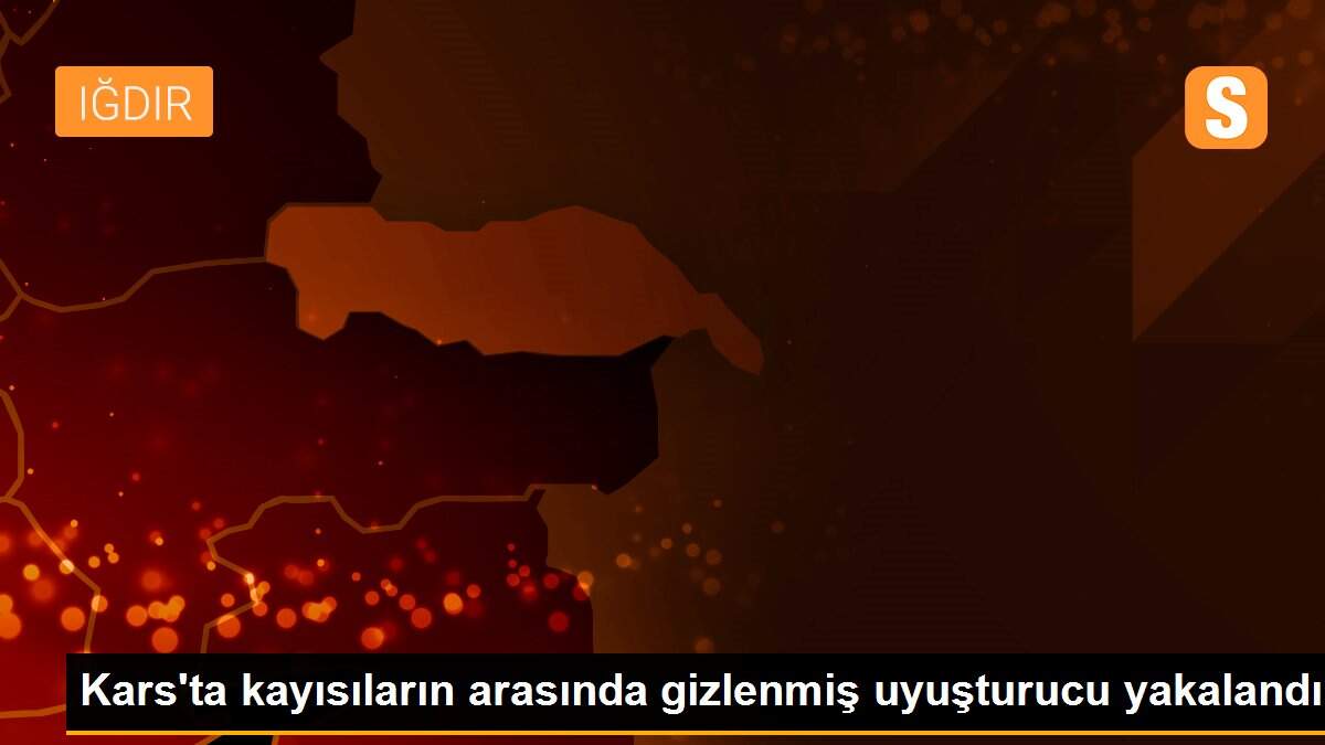Son dakika haber | Kars\'ta kayısıların arasında gizlenmiş uyuşturucu yakalandı
