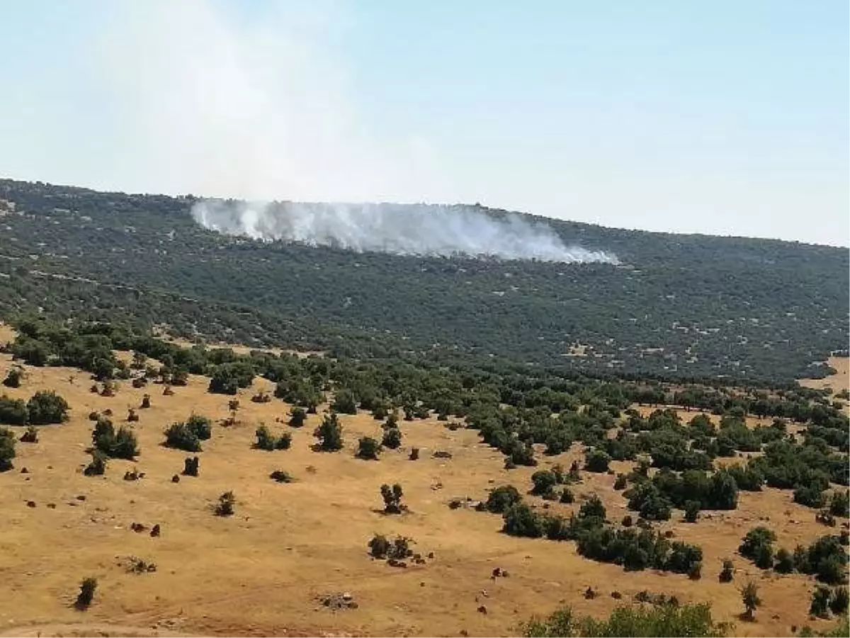 Kilis\'te orman yangını