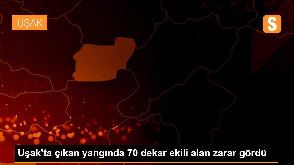 Uşak\'ta çıkan yangında 70 dekar ekili alan zarar gördü