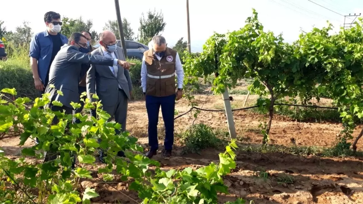 Vali Karadeniz Alaşehir\'de incelemelerde bulundu