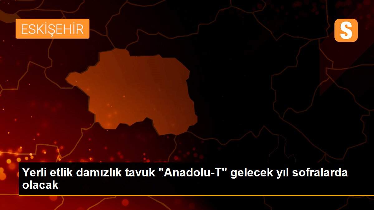 Yerli etlik damızlık tavuk "Anadolu-T" gelecek yıl sofralarda olacak