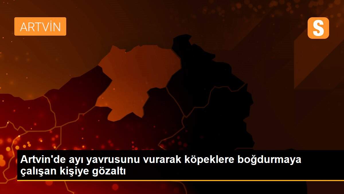Artvin\'de ayı yavrusunu vurarak köpeklere boğdurmaya çalışan kişiye gözaltı