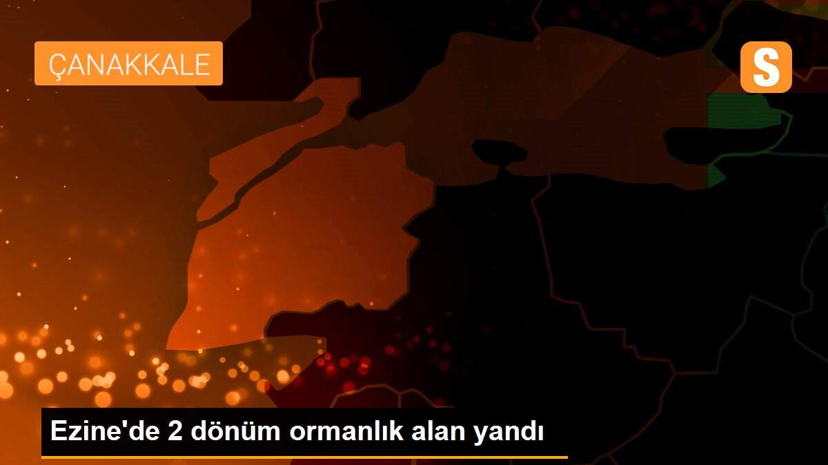 Ezine\'de 2 dönüm ormanlık alan yandı