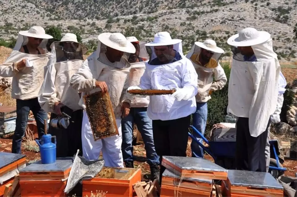 Kaymakam İmamoğlu bal hasadına katıldı