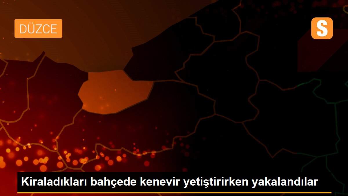 Kiraladıkları bahçede kenevir yetiştirirken yakalandılar
