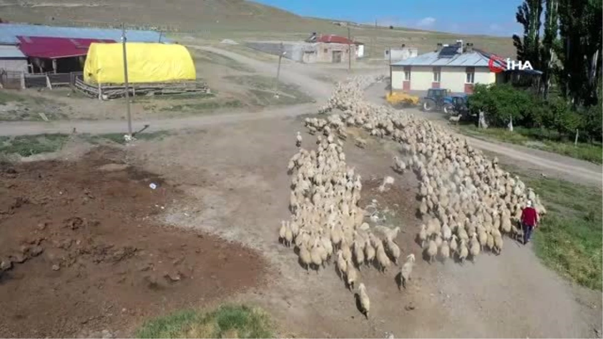 "Köyde yaşamak için \'bir sürü\' neden" projesi koyun sürülerinin arasında imzalandı