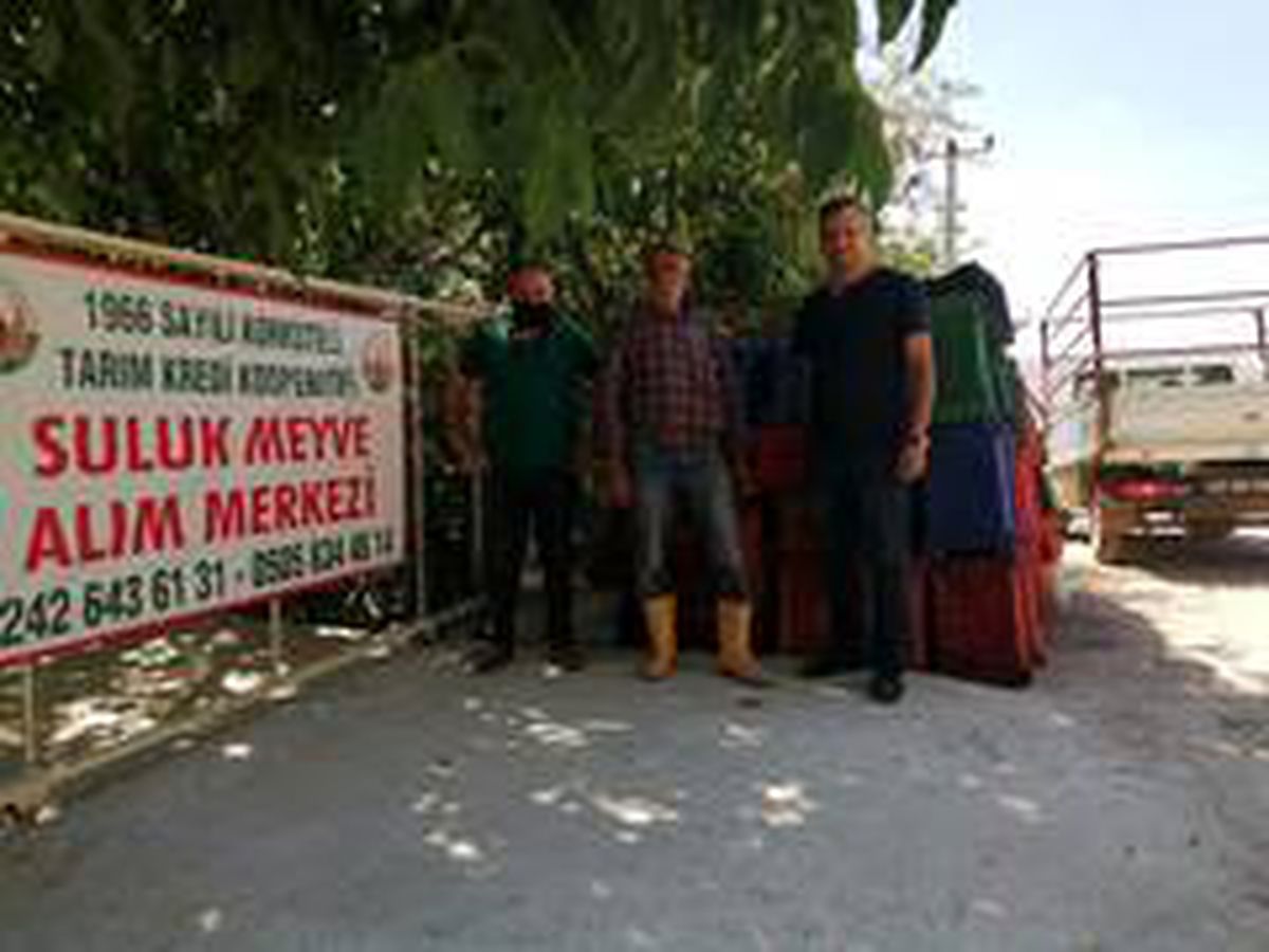 Tarım Kredi Korkuteli\'nde ilk kez vişne alımı yaptı