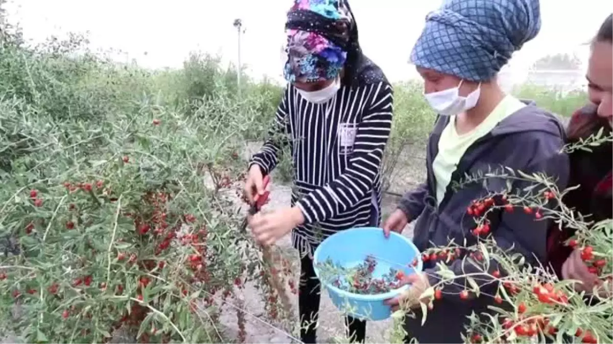 Vali Aydoğdu\'nun "okuyacaksın" sözü okulunu bırakmak zorunda kalan Ayşenur\'u gözyaşlarına boğdu