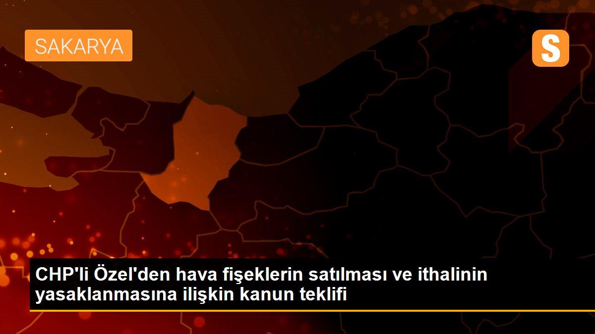 CHP\'li Özel\'den hava fişeklerin satılması ve ithalinin yasaklanmasına ilişkin kanun teklifi