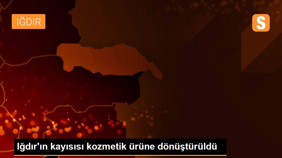 Iğdır\'ın kayısısı kozmetik ürüne dönüştürüldü