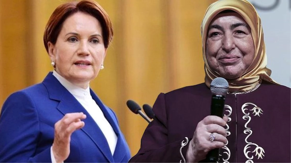 Meral Akşener, İYİ Partili Levent Özeren\'in hakaret mesajları için Semiha Yıldırım\'dan özür diledi