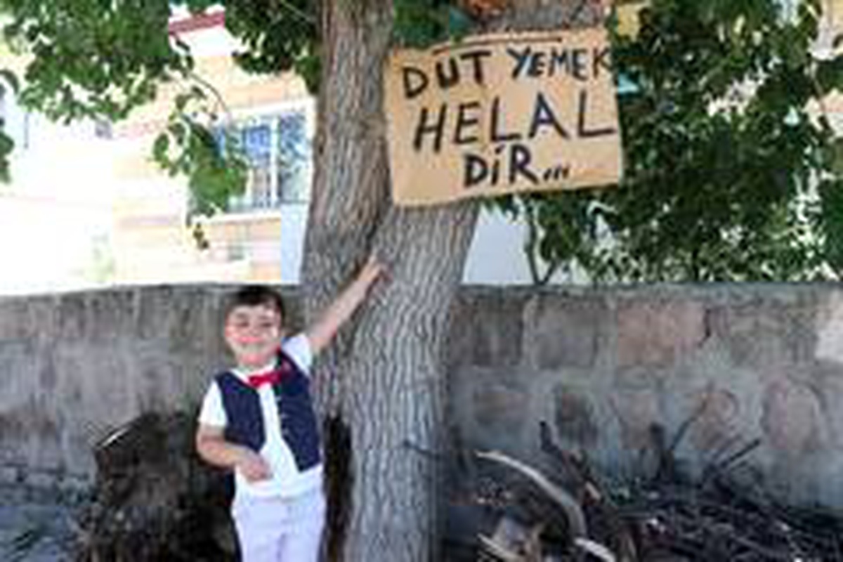 Ağaçtaki dutları yemek isteyen vatandaşlara not bıraktı