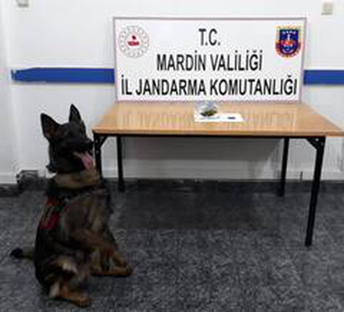 \'Cesur\' uyuşturucuya geçit vermedi