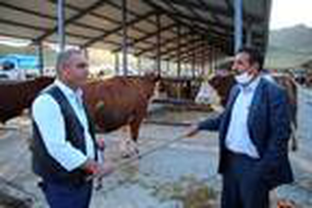 Hayvan pazarında \'değnek\'li pazarlık