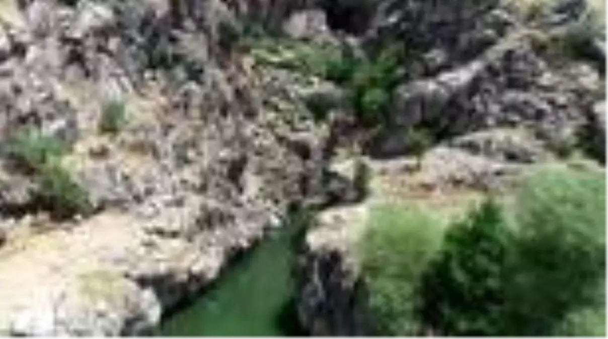 Liceli kadınların çevre hassasiyeti (1)