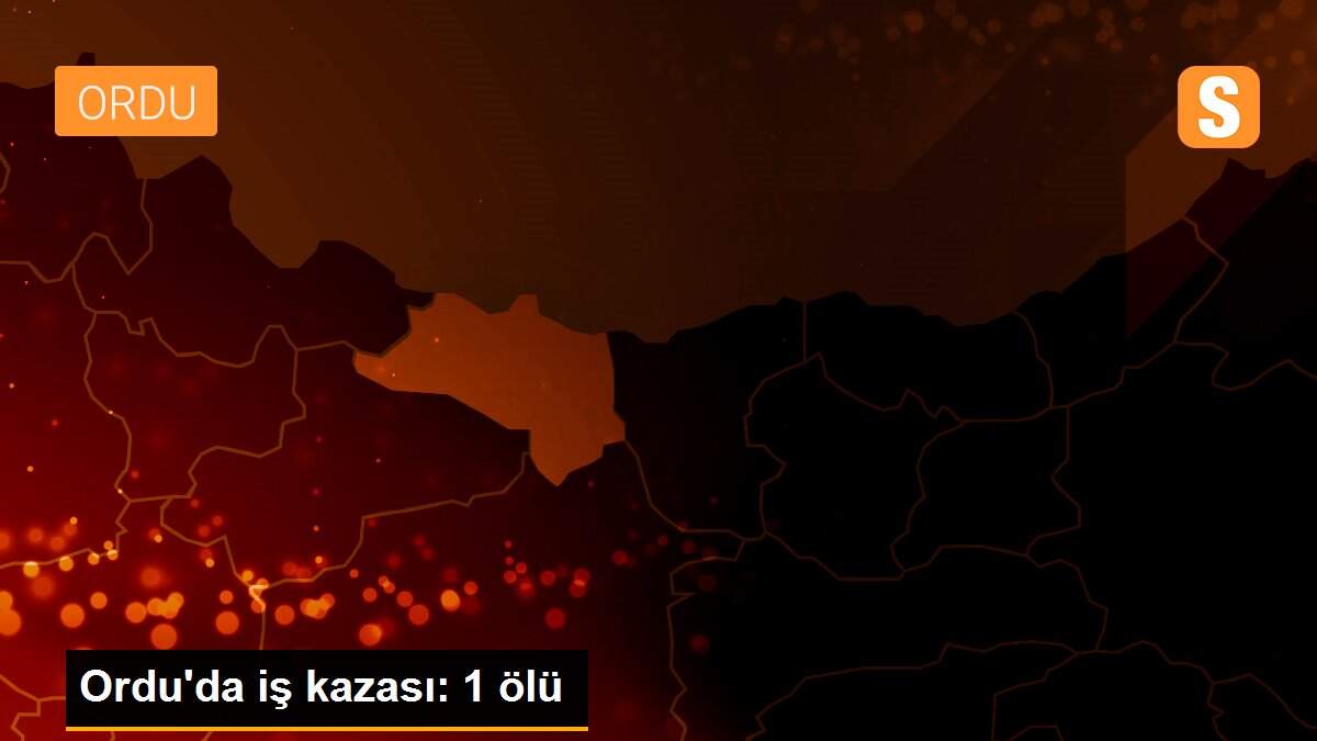 Ordu\'da iş kazası: 1 ölü