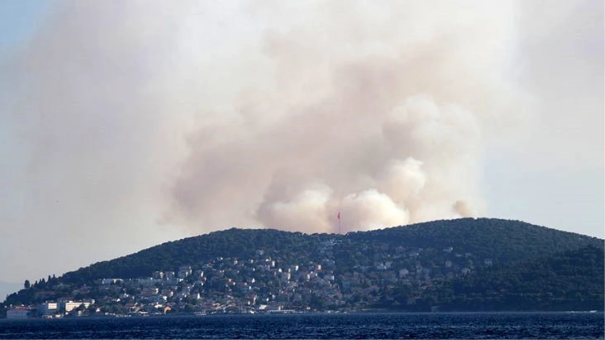 Son Dakika: Heybeliada\'da çıkan orman yangını ile ilgili 3 şüpheli gözaltına alındı