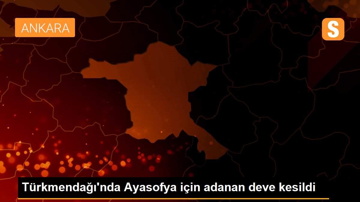 Türkmendağı\'nda Ayasofya için adanan deve kesildi