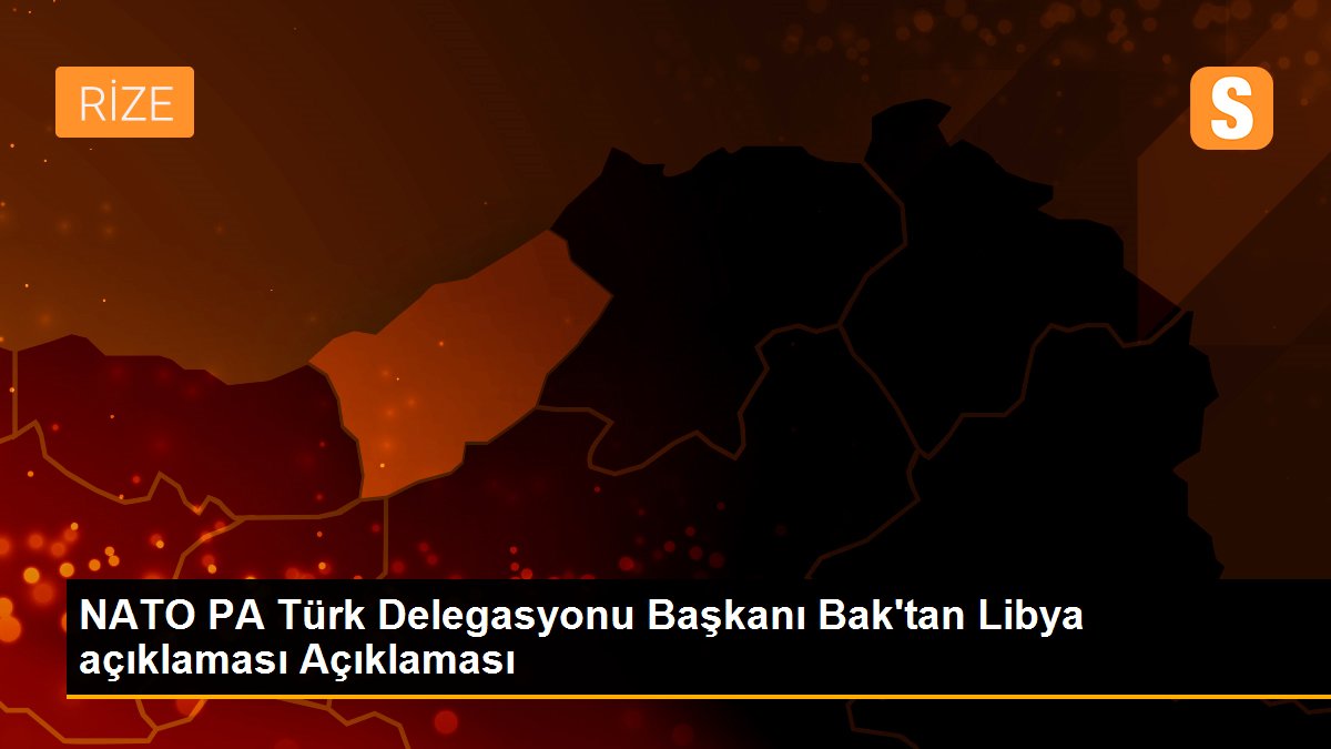 NATO PA Türk Delegasyonu Başkanı Bak\'tan Libya açıklaması Açıklaması