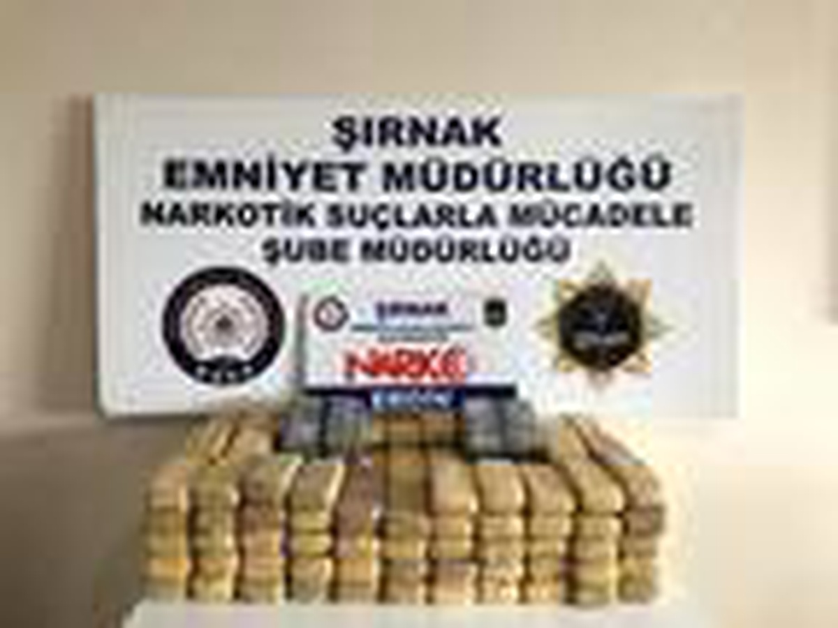 Şırnak\'ta kaçakçılık operasyonu: 24 gözaltı