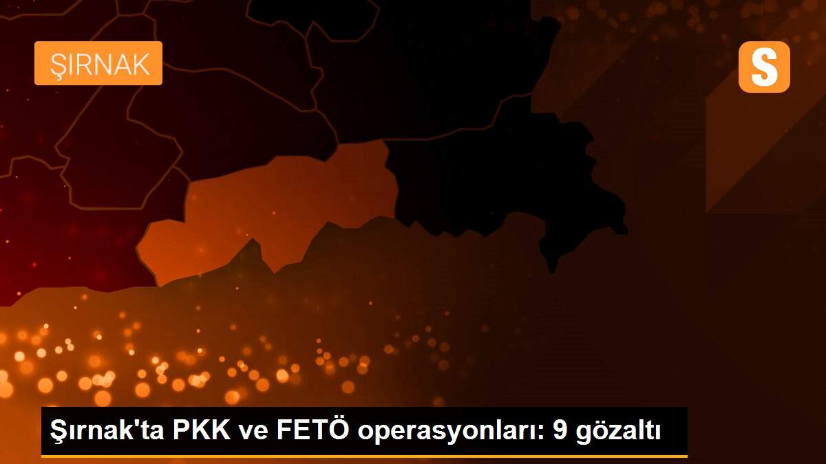 Son dakika haber! Şırnak\'ta PKK ve FETÖ operasyonları: 9 gözaltı