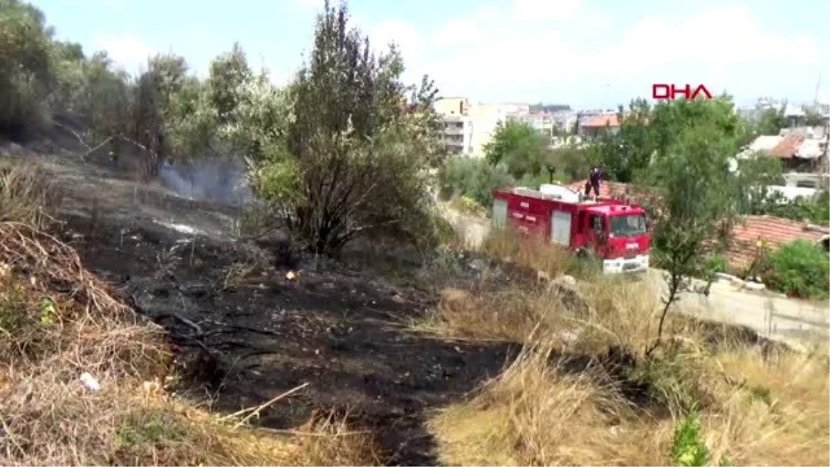 ANTALYA Serik\'te zeytin bahçesindeki yangın korkuttu