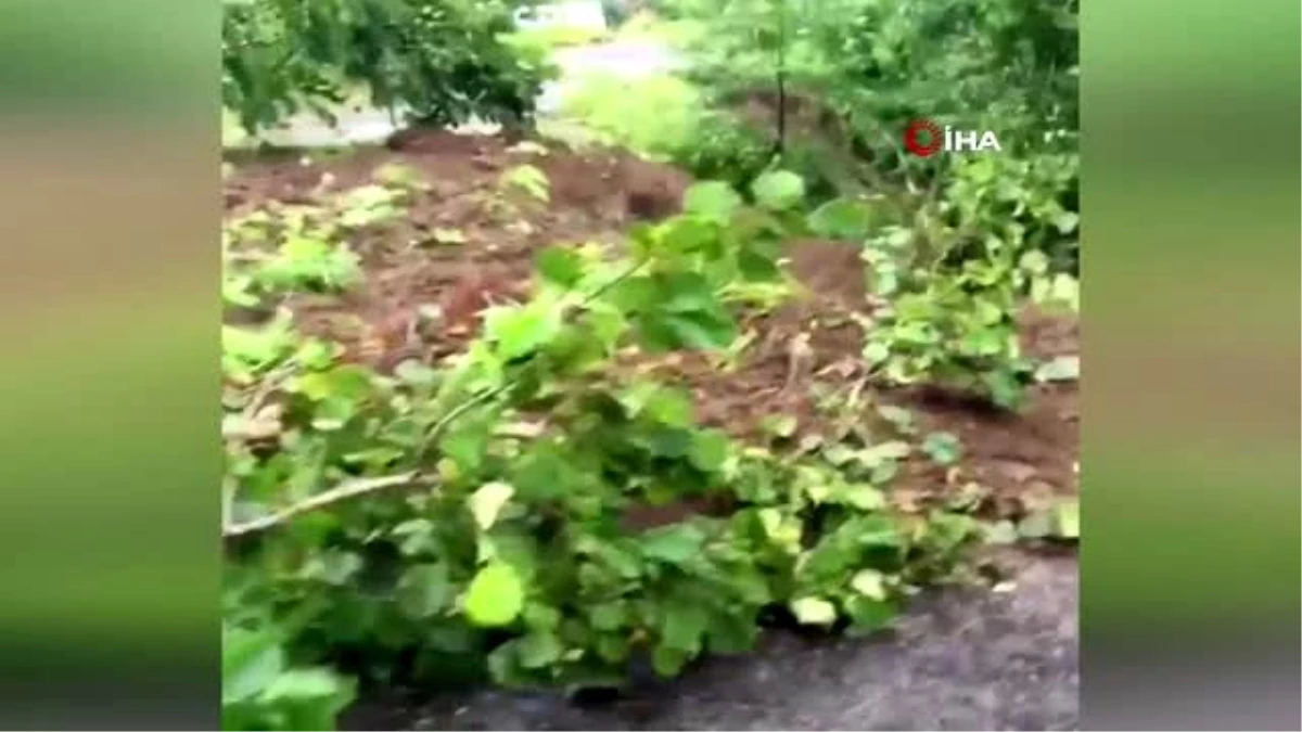 Giresun\'da etkili olan yağış heyelanlara neden oldu